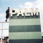 Palm 2